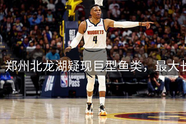 郑州北龙湖疑现巨型鱼类，最大长达3米引热议